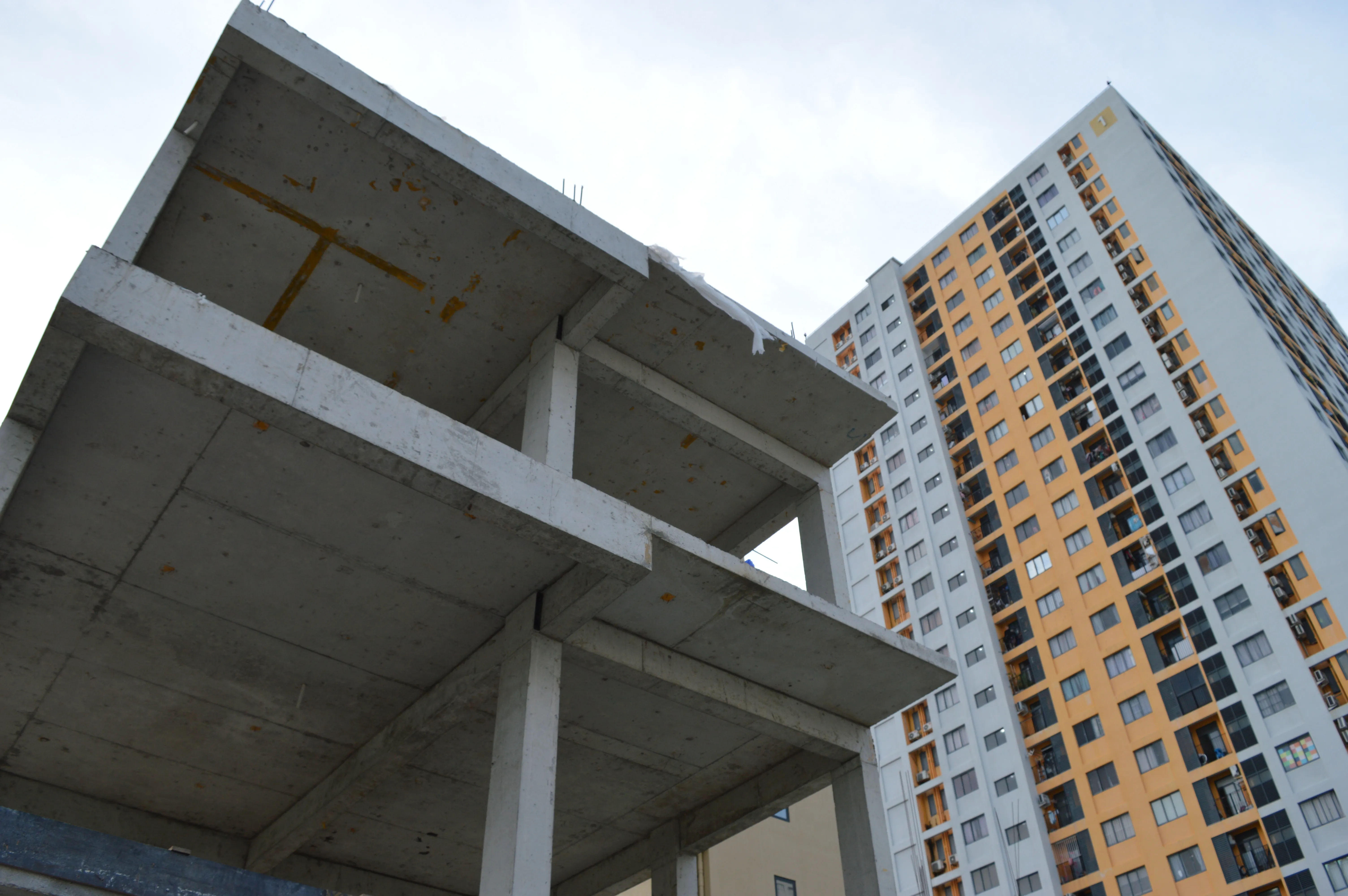Real Estate Development